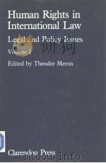 HUMAN RIGHTS IN INTERNATIONAL LAW:LEGAL AND POLICY ISSUES   1984  PDF电子版封面  0198254725  THEODOR MERON 