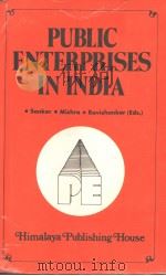Public Enterprises In India  THE FOCUS ON RESEARCHES   1983  PDF电子版封面    T.L.SANKAR 