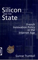 SILICON AND THE STATE（ PDF版）