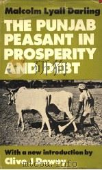 THE PUNJAB PEASANT IN PROSPERITY AND DEBT（1925 PDF版）