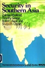 Security in Southern Asia  SECTION  2  India and Great Powers     PDF电子版封面  0312709145   