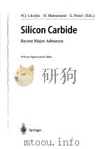 SILICON CARBIDE（ PDF版）