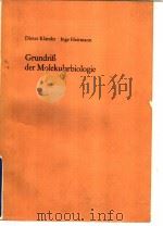 Dieter Klǎmabt·Inge Heitmann  Grundriβ der Molekularbiologie     PDF电子版封面     