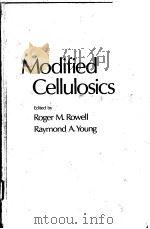 MODIFIED CELLULOSICS     PDF电子版封面  0125997507  ROGER M.ROWELL  RAYMOND A.YOUN 