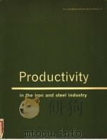 PRODUCTIVITY IN THE IRON AND STEEL INDUSTRY（ PDF版）