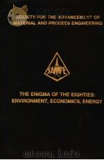 THE ENIGMA OF THE GIGHTIES:ENVIRONMENT  VOLUME 24 BOOK 2     PDF电子版封面     