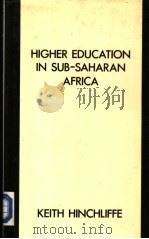 HIGHER EDUCATION IN SUB-SAHARAN AFRICA     PDF电子版封面  0709937830   