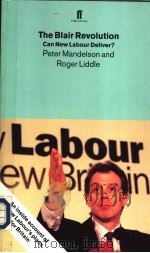 THE BLAIR REVOLUTION CAN NEW LABOUR DELIVER PETER MANDELSON AND ROGER LIDDLE（ PDF版）