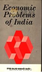 Economic Problems of India     PDF电子版封面  8185495673  SYED SAJID HUSAIN ZAIDI 