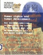 HUMAN DEVELOPMENT REPORT 2000     PDF电子版封面     