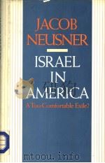 ISRAEL IN AMERICA A TOO-COMFORTABLE EXILE?（ PDF版）
