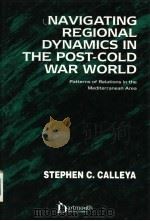 NAVIGATING REGIONAL DYNAMICS IN THE POST-COLD WAR WORLD     PDF电子版封面  185521850X  STEPHEN C.CALLEYA 