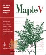 MAPLEV FIRST LEAVES:A TUTORIAL INTRODUCTION     PDF电子版封面  0387976213   