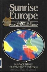 SUNRISE EUROPE  TEH DYNAMICS OF INFORMATION TECHNOLOGY     PDF电子版封面  0631144064   