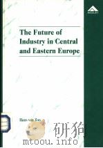 THE FUTURE OF INDUSTRY IN CENTRAL AND EASTERN EUROPE     PDF电子版封面  1859723403  HANS VAN ZON 