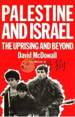 PALESTINE AND ISRAEL THE UPRISING AND BEYOND   1989  PDF电子版封面  1850431310   