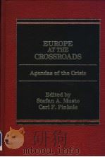 EUROPE AT THE CROSSROADS     PDF电子版封面  0030027276  STEFAN A.MUSTO  CARL F.PINKELE 