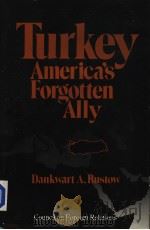 TURKEY AMERICA'S FORGOTTEN ALLY   1987  PDF电子版封面  0876090234  DANKWART A.RUSTOW 