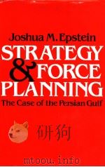 STRATEGY AND FORCE PLANNING  THE CASE OF THE PERSIAN GULF     PDF电子版封面  0815724543  JOSHUA M.EPSTEIN 