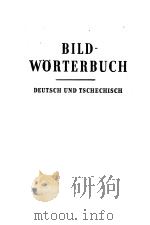 BILDWORTERBUCH     PDF电子版封面     