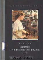 CHEMIE IN THE ORIE UND PRAXIS BANDⅠ     PDF电子版封面     