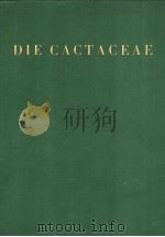 DIE CACTACEAE HANDBUCH DER KAKTEENKUNDE BAND Ⅱ     PDF电子版封面     