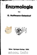 ENZYMOLOGIE     PDF电子版封面    OTTO HOFFMANN-OSTENHOF 