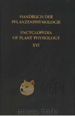 HANDBUCH DER PFLANZENPHYSIOLOGIE ENCYCLOPEDIA OF PLANT PHYSIOLOGY ⅩⅥ     PDF电子版封面    W.RUHLAND 