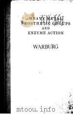 HEAVY METAL PROSTHETIC GROUPS AND ENZYME ACTION     PDF电子版封面    OTTO WARBURG 