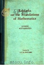 REMARKS ON THE FOUNDATIONS OF MATHEMATICS     PDF电子版封面     