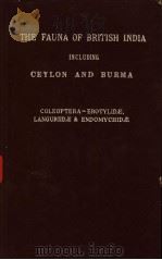 THE FAUNA OF BRITISH INDIA INCLUDING CEYLON AND BURMA COLEOPTERA EROTYLIDE LANGURIIDE & ENDOMYCHIDE     PDF电子版封面    G·J·ARROW 
