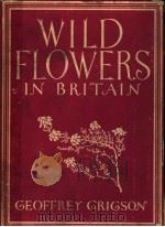 WILD FLOWERS IN BRITAIN     PDF电子版封面     