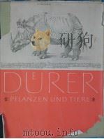 ALBRECHT DURER PFLANZEN UND TIERE     PDF电子版封面     