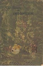 IN INDONESIA（ PDF版）