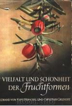 VIELFALT UND SCHONHEIT DER FRUCHTFORMEN     PDF电子版封面    KURT HERSCHEL 