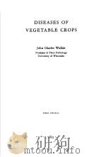 DISEASES OF VEGETABLE CROPS FIRST EDITION     PDF电子版封面     