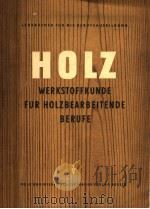 HOLZ（ PDF版）