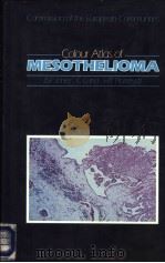MESOTHELIOMA（ PDF版）