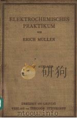 ERICH MULLER ELEKTROCHEMISCHESS PRAKTIKUM     PDF电子版封面    DR.U.DR.LNG.E.H.FRITZ FOERSTER 
