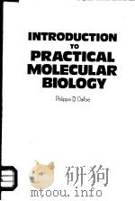 INTRODUCTION TO PRACTICAL MOLECULAR BIOLOGY   1988年  PDF电子版封面    PHILIPPA D.DARBRE 