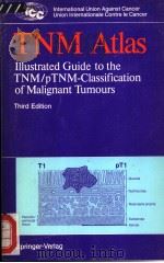 TNM Atlas     PDF电子版封面  0387177213  B.Spiessl O.H.Beahrs 