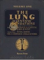 THE LUNG SCIENTIFIC FOUNDATIONS  VOLUME 1     PDF电子版封面  0881676292   