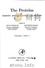 THE PROTEINS CHEMISTRY，BIOLOGICAL ACTIVITY，AND METHODS  VOLUME Ⅰ PART A   1953  PDF电子版封面    HANS NEURATH  KENNETH BAILEY 