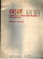 CELLS  PRINCIPLES OF MOLECULAR STRUCTURE AND FUNCTION     PDF电子版封面  0867200928  DAVID M.PRESCOTT 