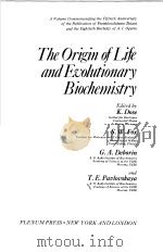 THE ORIGIN OF LIFE AND EVOLUTIONARY BIOCHEMISTRY     PDF电子版封面  0306308118  K.DOSE  S.W.FOX  G.A.DEBORIN A 