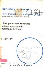 PHOTOGENERATED REAGENTS IN BIOCHEMISTRY AND MOLECULAR BIOLOGY（ PDF版）