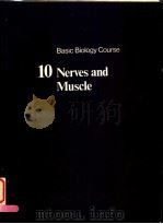 BASIC BIOLOGY COURSE 10 NERVES AND MUSCLE（ PDF版）