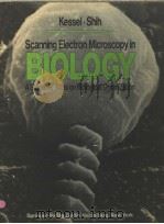 SCANNING ELECTRON MICROSCOPY IN BIOLOGY A STUDENTS‘ATLAS ON BIOLOGICAL ORGANIZATION     PDF电子版封面     