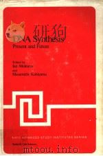 DNA SYNTHESIS PRESENT AND FUTURE   1978  PDF电子版封面  0306356171  IAN MOLINEUX AND MASAMICHI KOH 