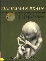 THE HUMAN BRAIN（ PDF版）